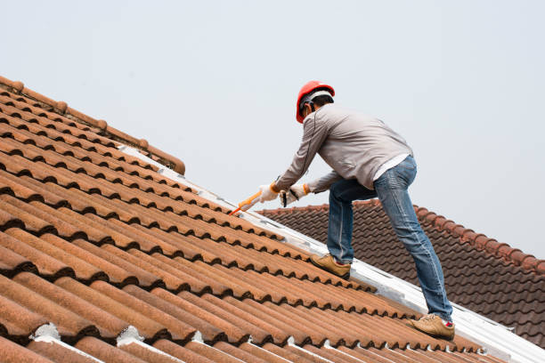 Professional Roofing and installation in Dexter, MI